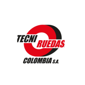 Logo-tecniruedas